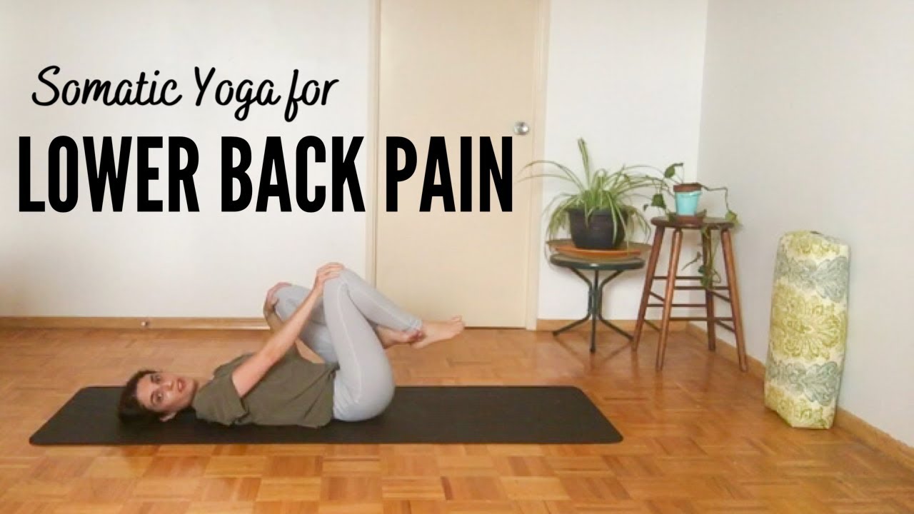 Somatic Yoga for Lower Back (Easy & Gentle) | Fluid Soma