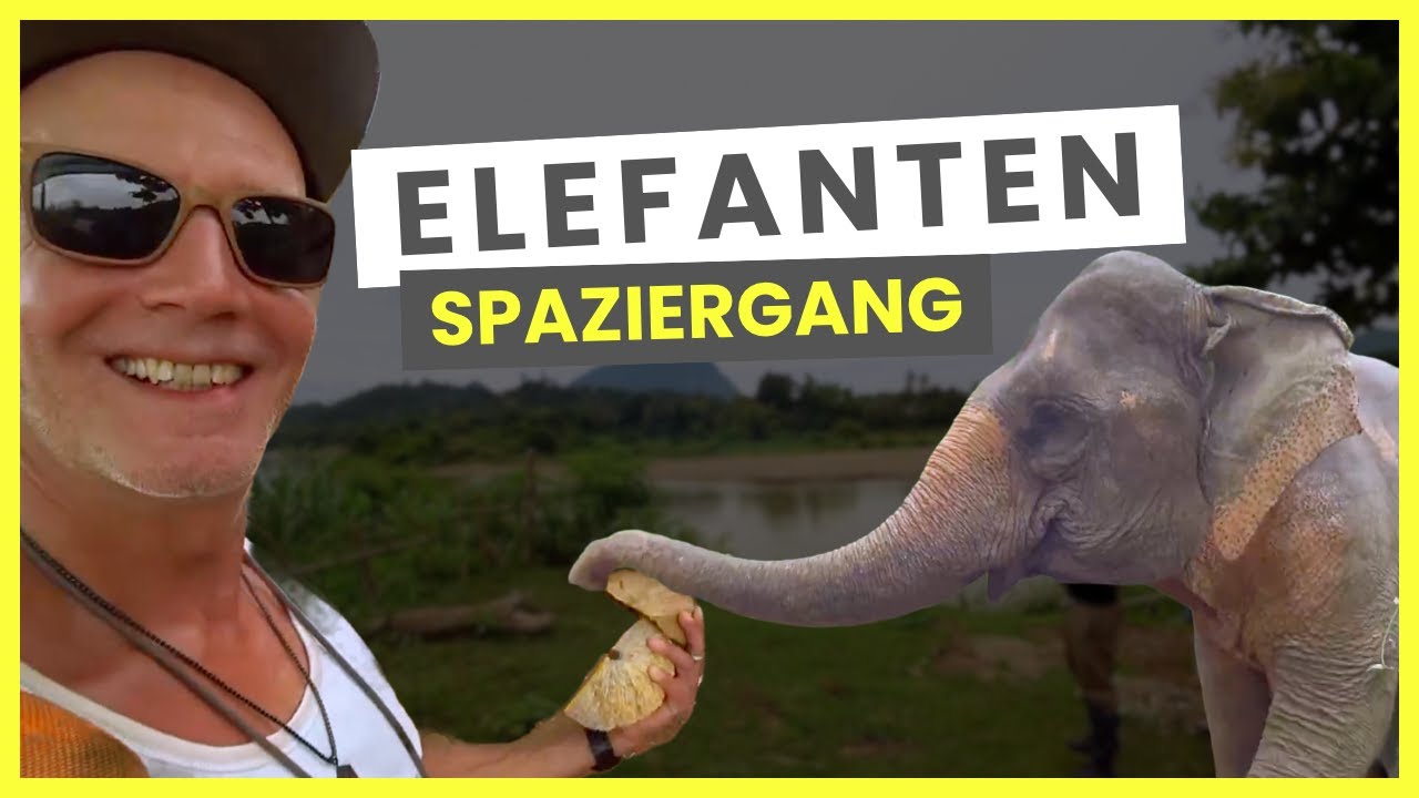 MIT ELEFANTEN IM DSCHUNGEL VON LAOS! MEIN WOHL SCHÖNSTER TAG DER WELTREISE!