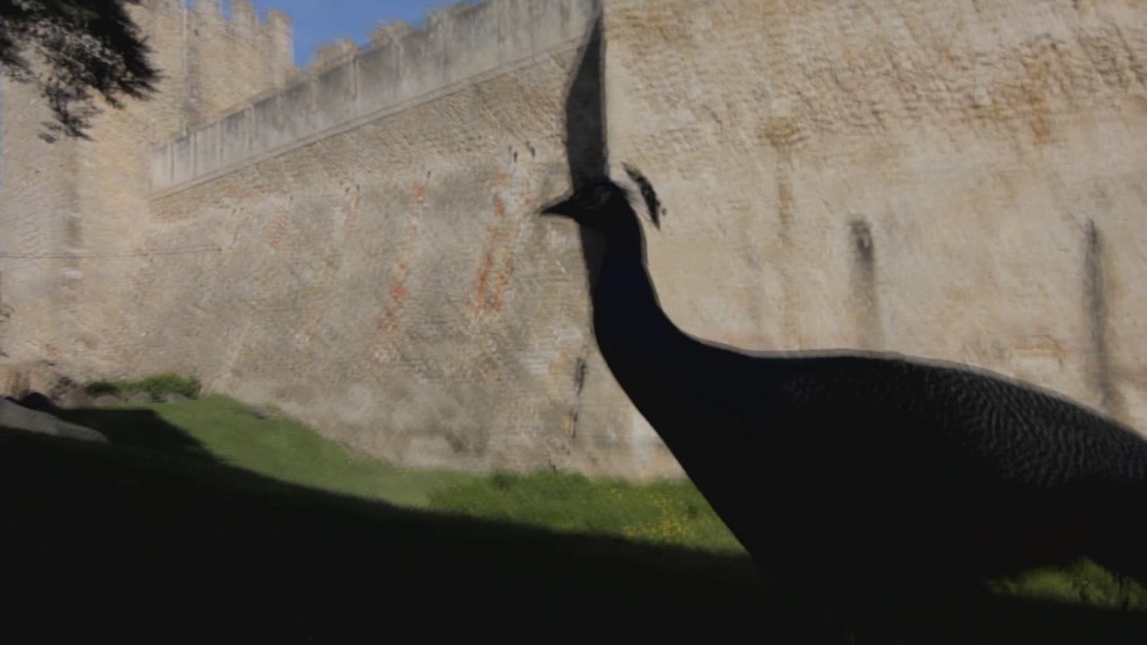 castle s jorge