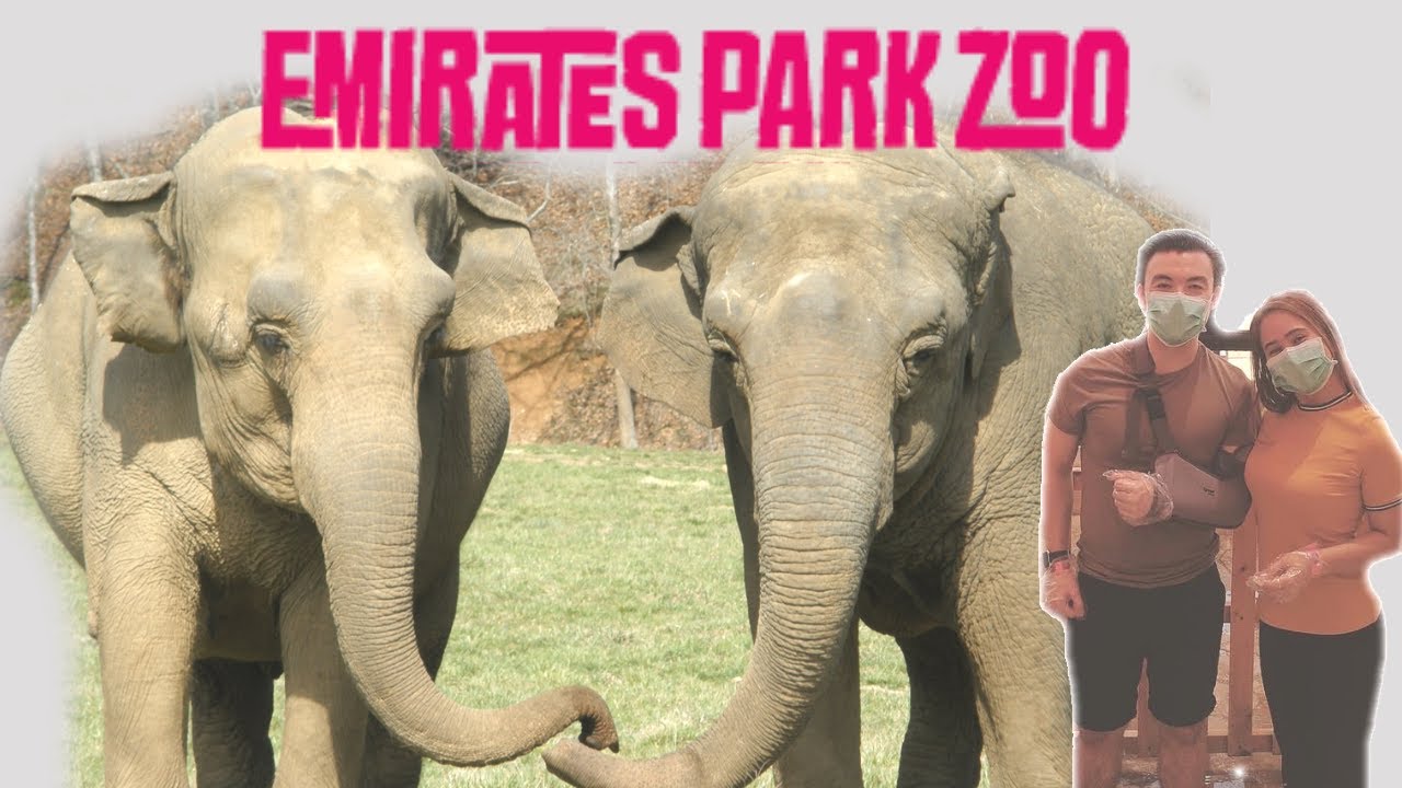 Emirates Park Zoo Abu Dhabi: Elephant Show and Feeding (Must Visit Place in UAE)