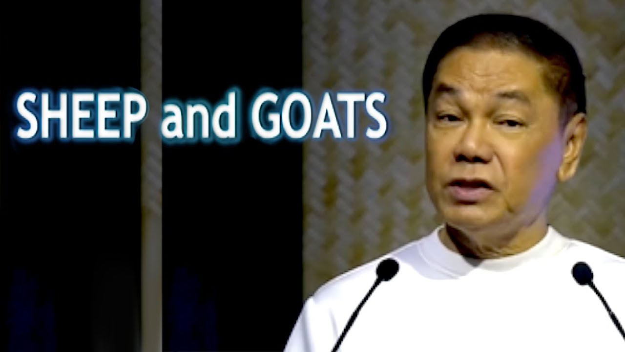 SHEEP AND GOATS -  ED LAPIZ