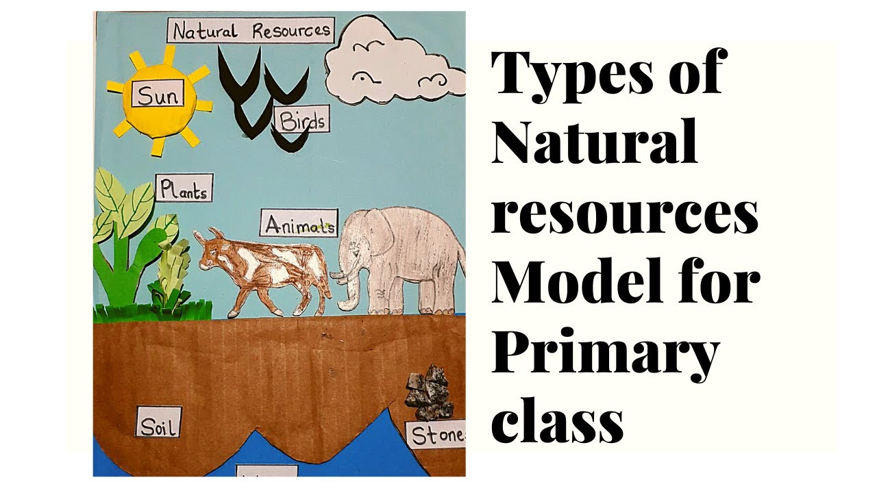 Natural Resources Model for Primary Class | Science TLM