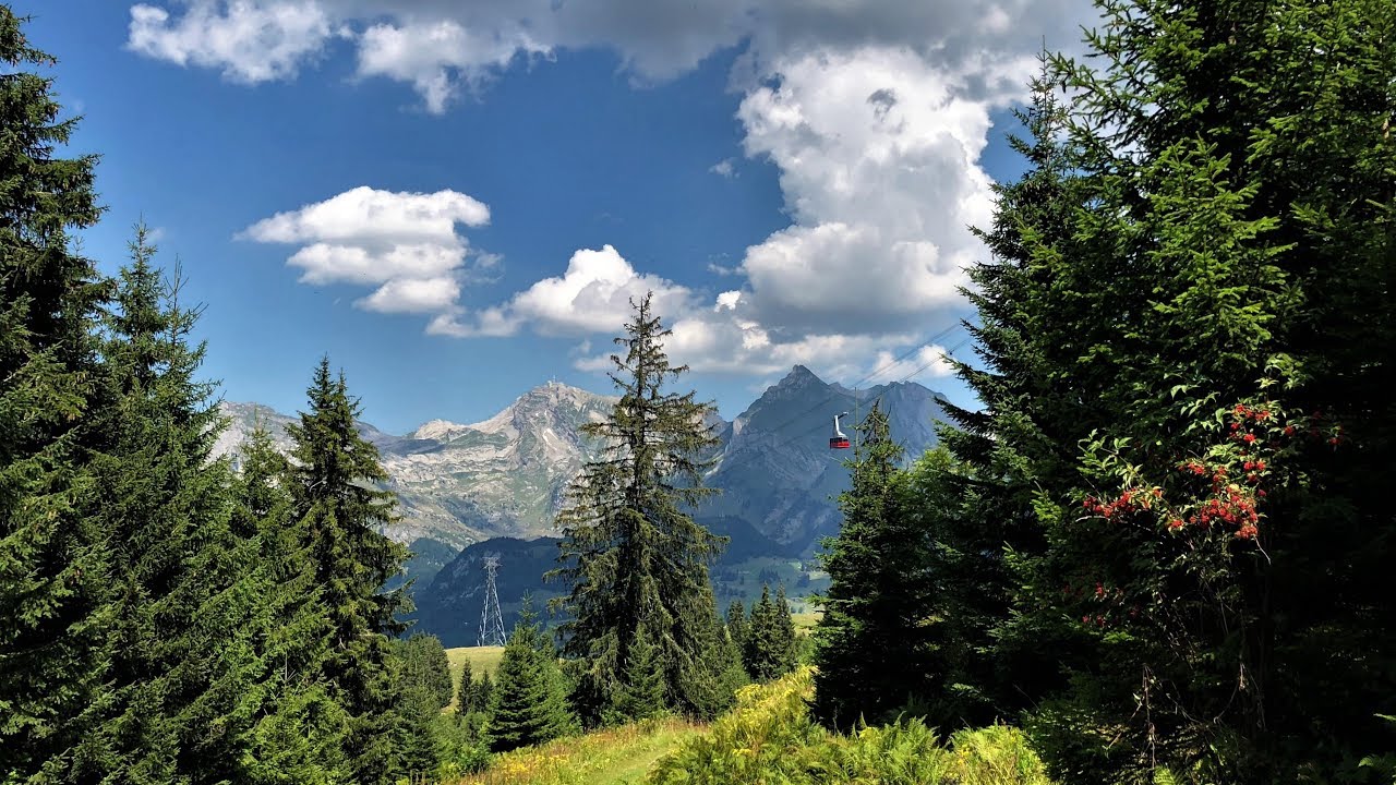 ... üseri Berge, üseri Jodler, üsers Toggeburg ... begleitet vom Jodlerklub Wattwil.
