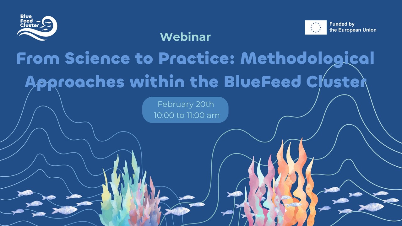 From Science to Practice Methodological Approaches within the BlueFeed Cluster