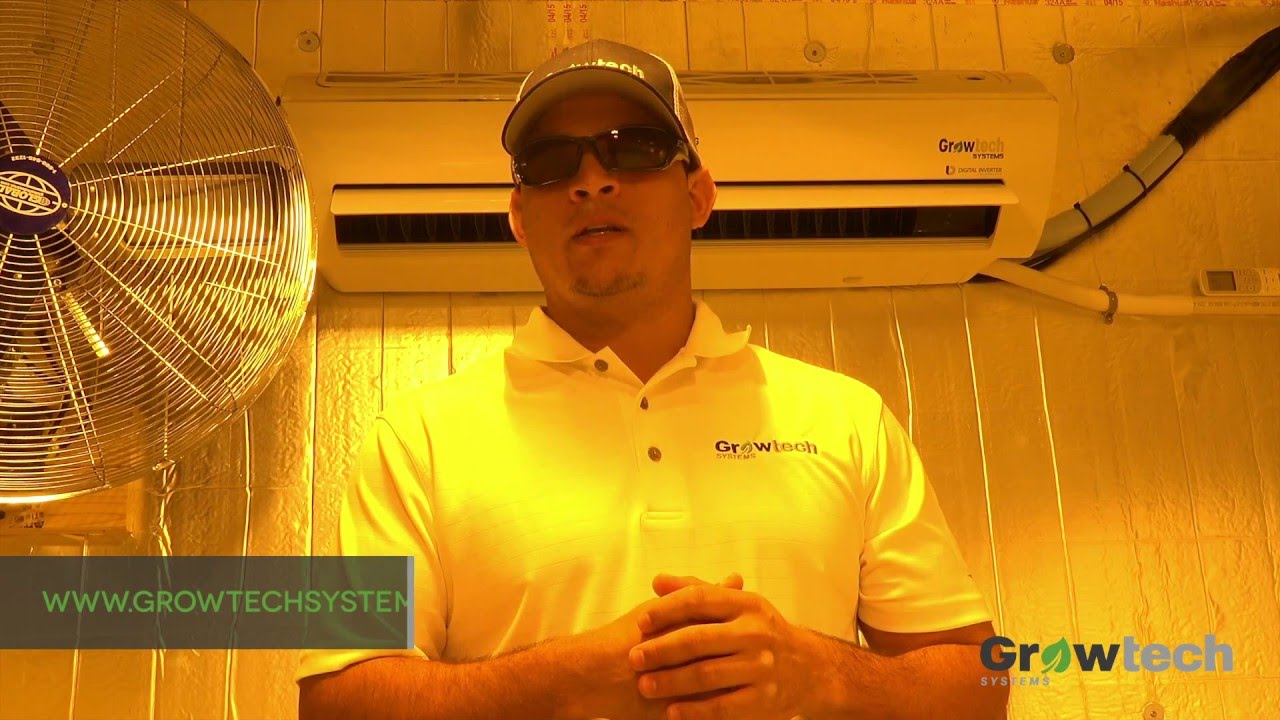 Growtech Systems - 8000 Watt Gavita Grow Room