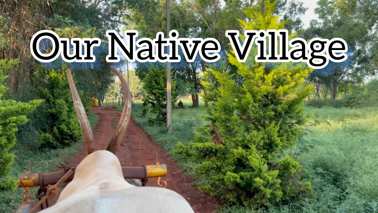 Our stay @ Our Native Village - Eco Resort / Bangalore