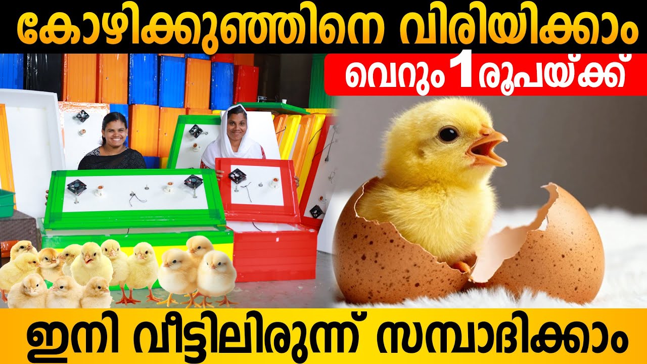 2500 രൂപയ്ക്ക് വീട്ടിലൊരു  സംരംഭം | ഇനി വീട്ടിലിരുന്ന് സമ്പാദിക്കാം | Incubators Malayalam