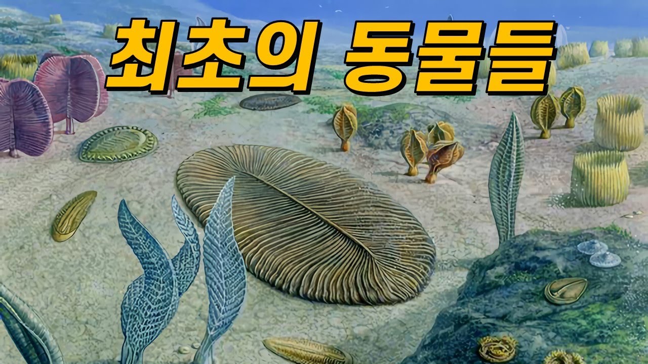 캄브리아기 이전에는 어떤 생물들이 살았을까?(ft.에디아카라 생물군)