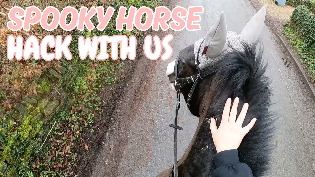 GOPRO HACK WITH ME! - Euro was very spooky