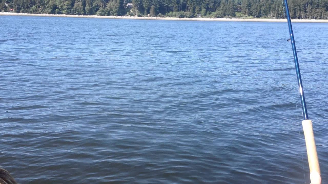 June Chinook Fishing