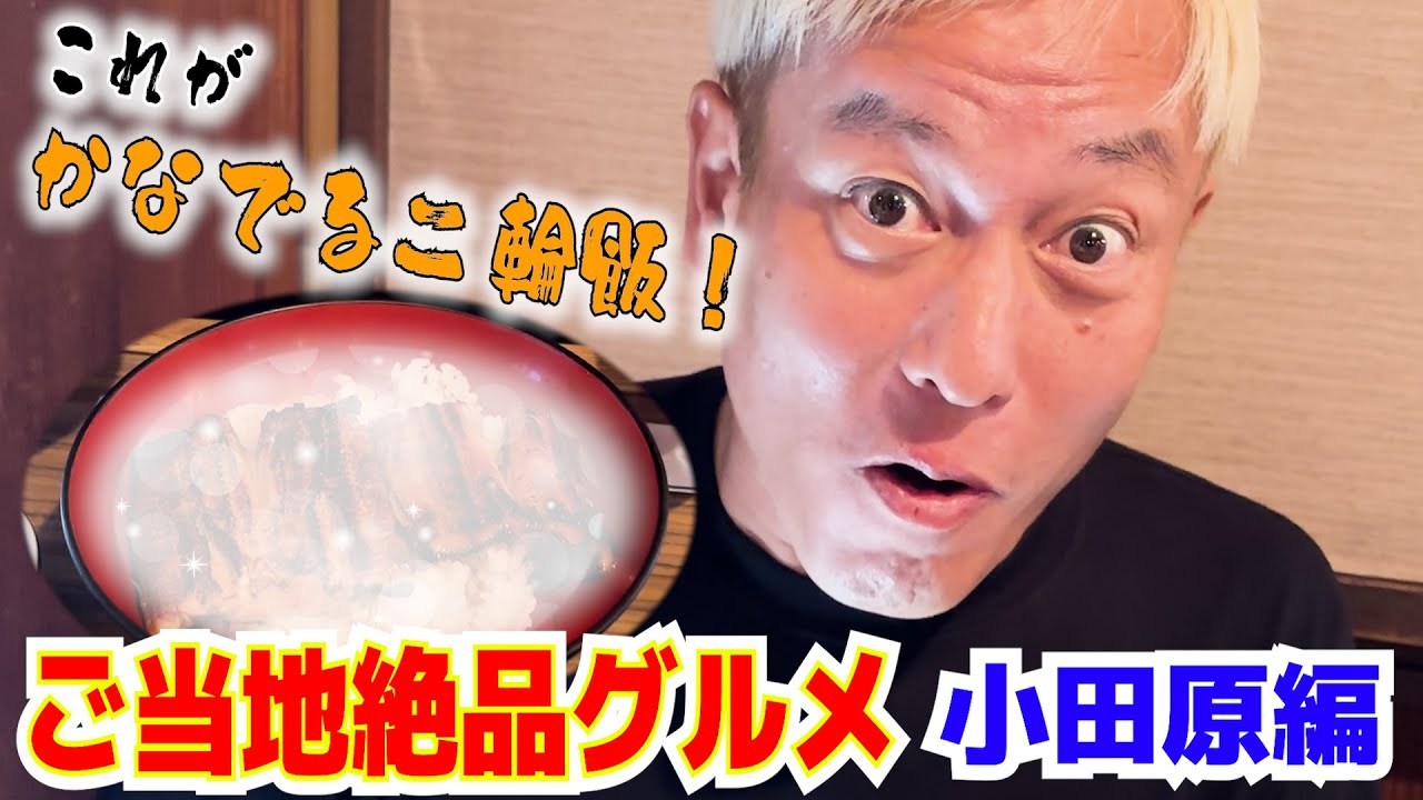 【ご当地絶品グルメ】かなでる二輪旅で行った小田原でうまい飯食べてきた