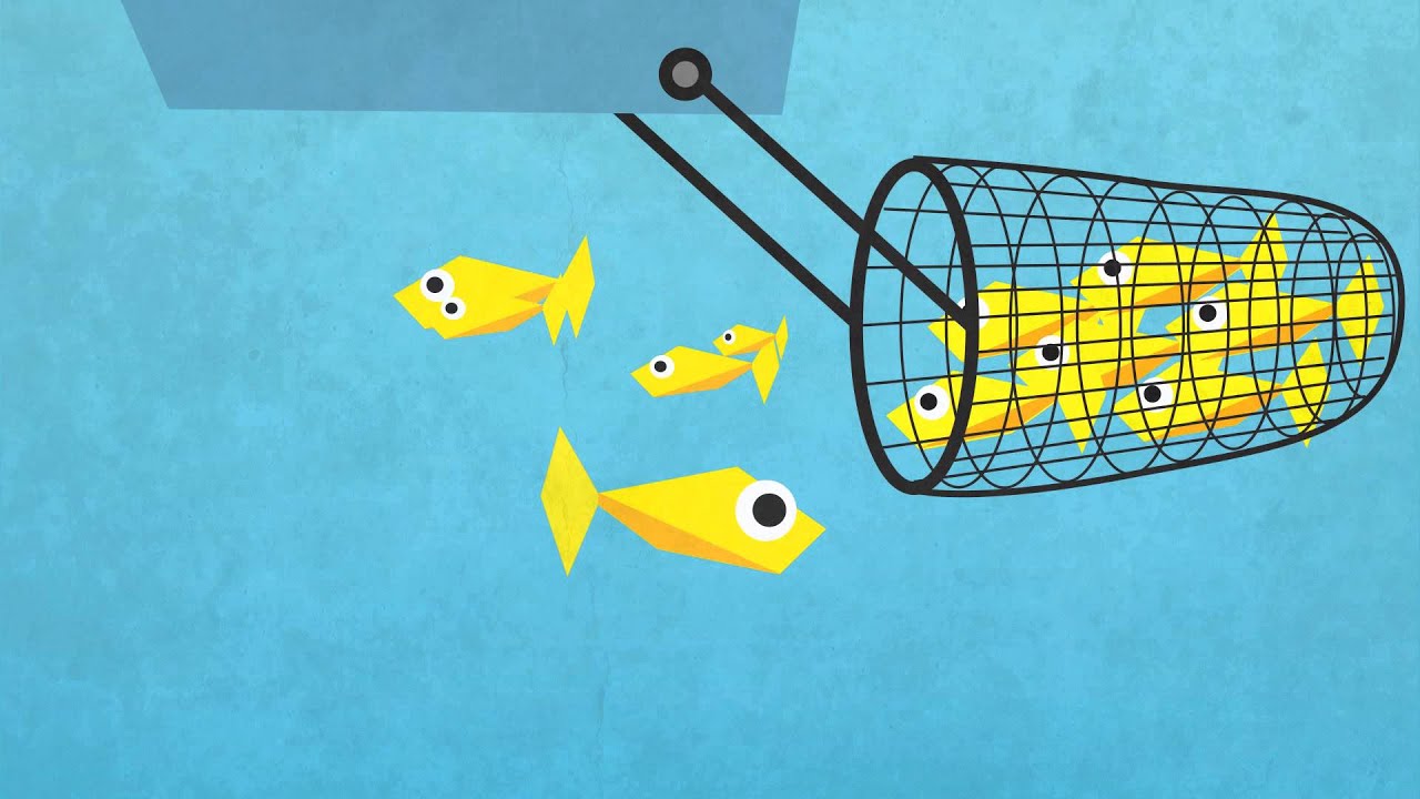 Explanimation Overfishing