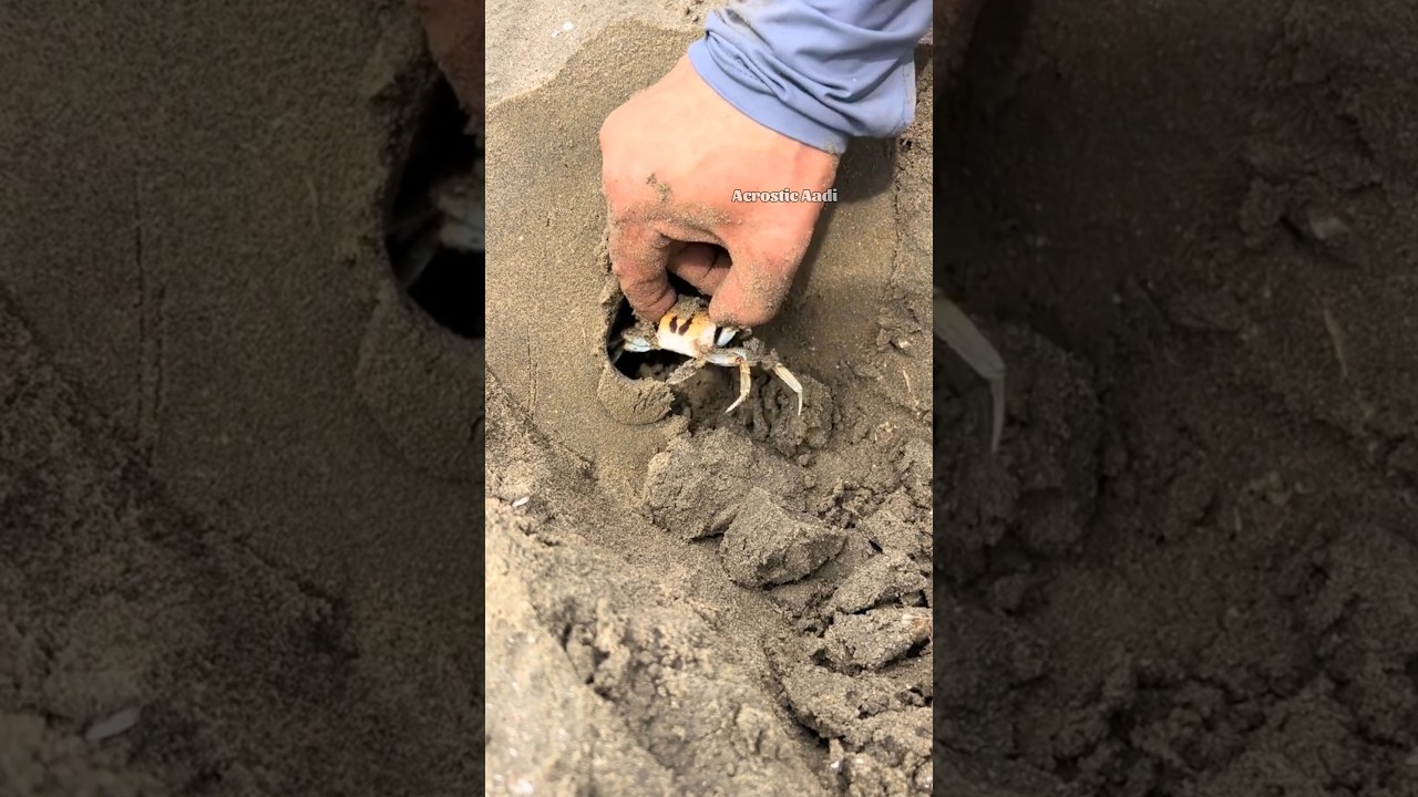 Father Finding Treasure in Beach😂🤯