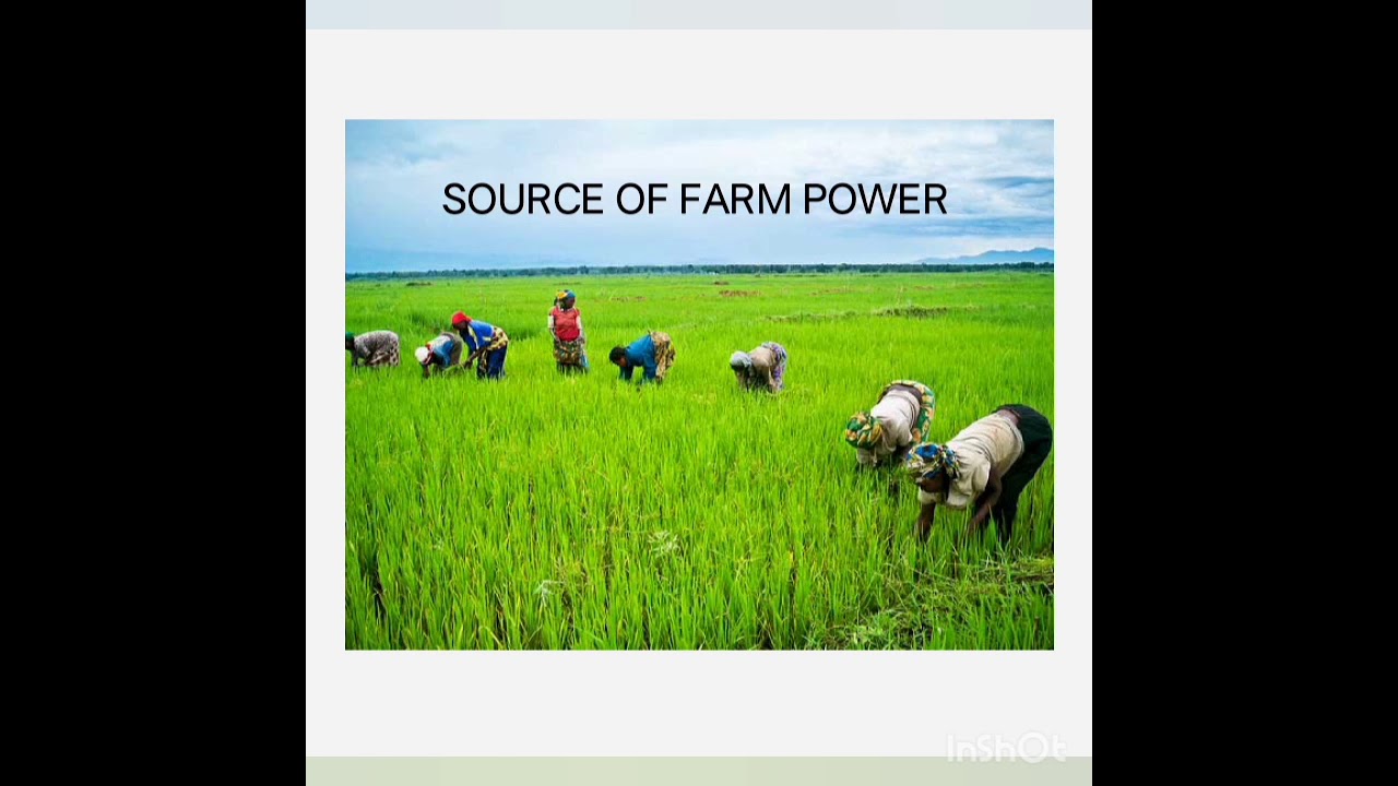 SOURCE OF FARM POWER