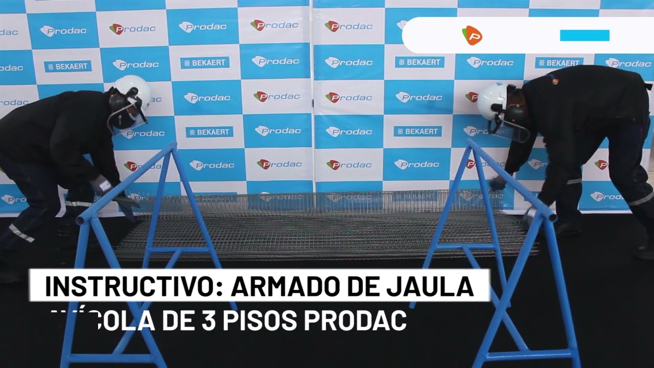 &iquest;C&oacute;mo armar una jaula av&iacute;cola Prodac?