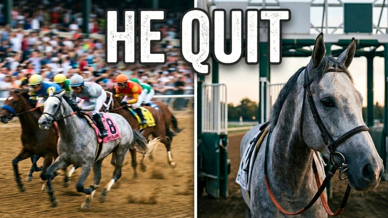 The $8.8M Champion Racehorse Who REFUSED to Run | Horse Racing's Greatest Mystery