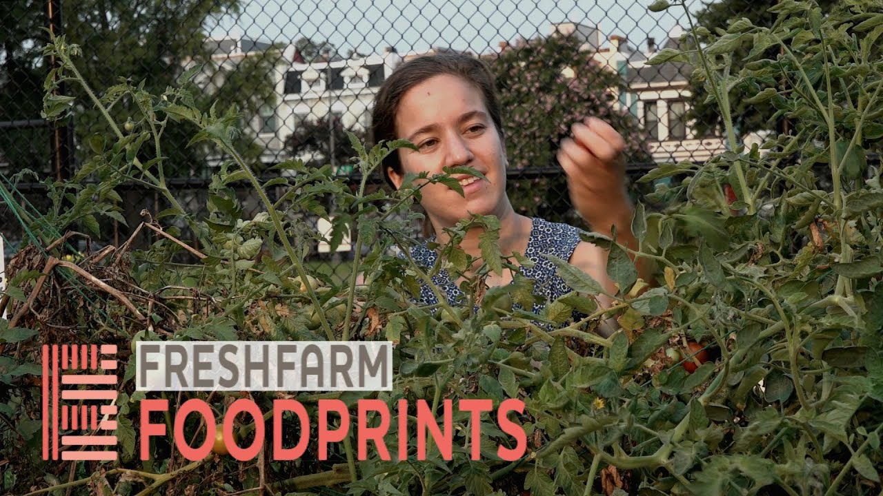 Freshfarm Food Prints - Short version