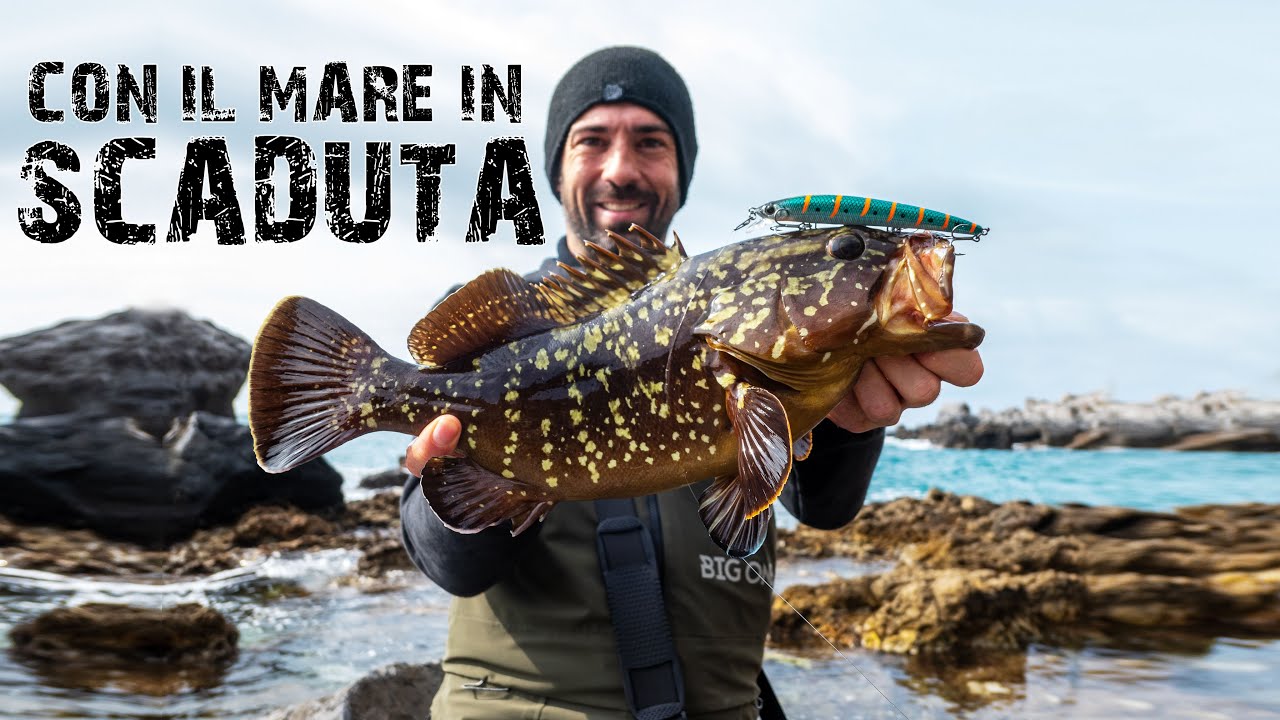 Una SCADUTA ricca di SORPRESE - Catch and Cook