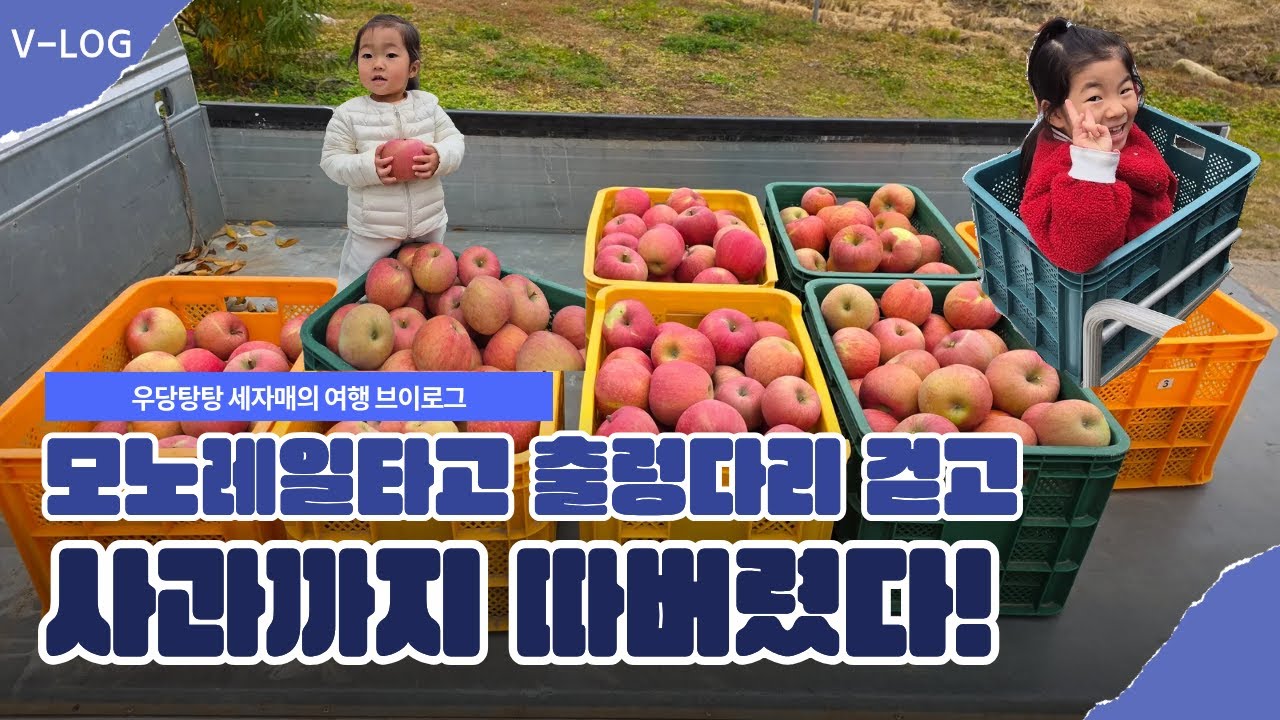 롤러코스터 같은 모노레일  타고 출렁다리 걷고 사과까지 따버린 예산 당일치기!