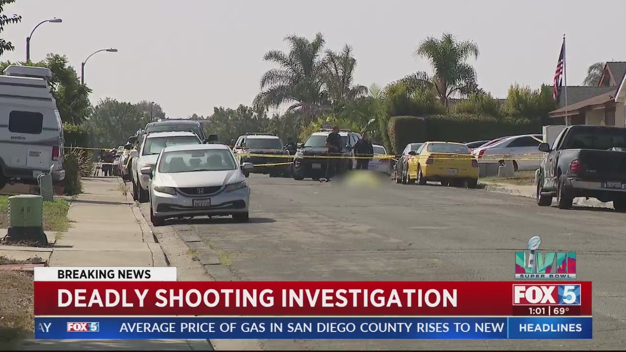 Deadly Shooting Investigation