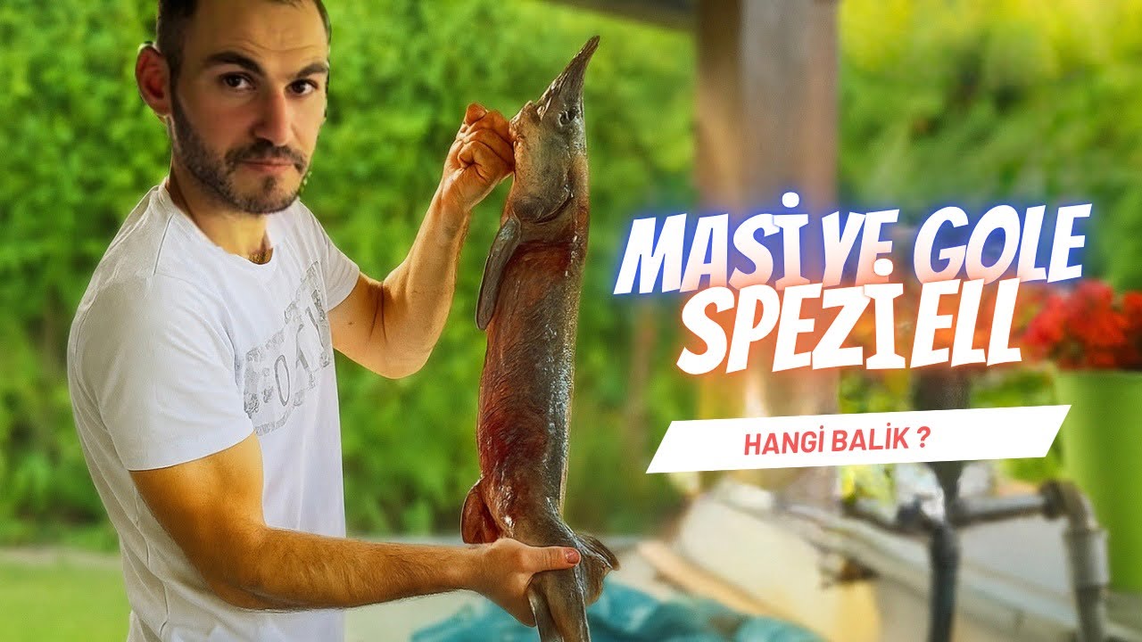 Masiye gole ma gırt / stör speziell Fisch 😍 ​⁠nave wi Masi çiya ?? 