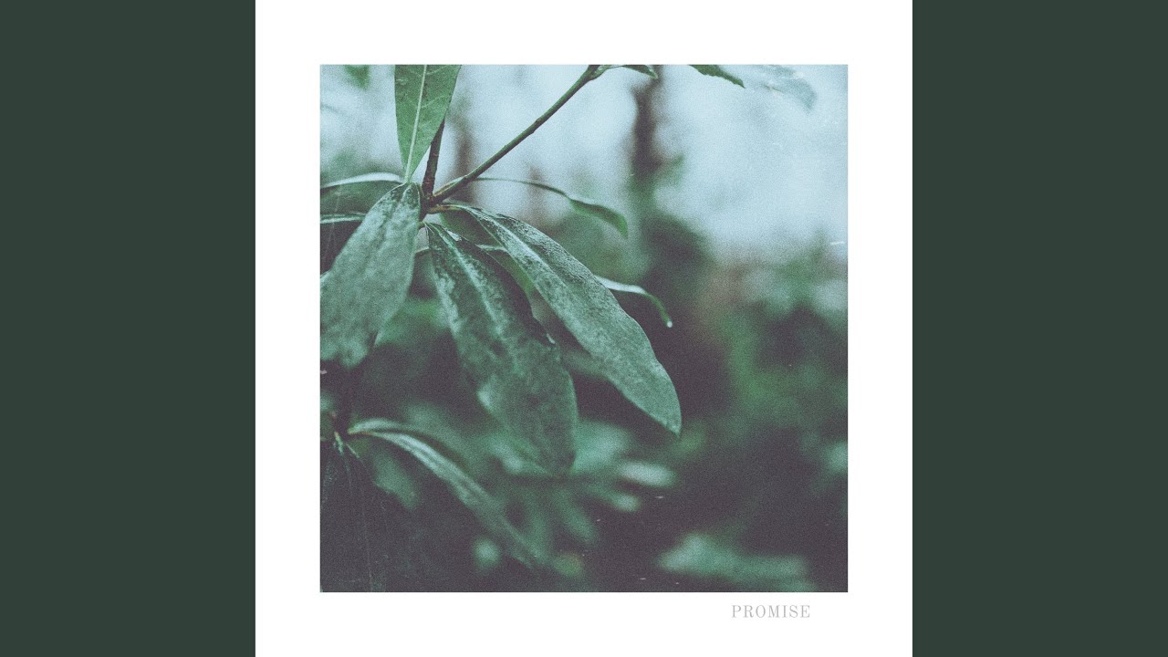Promise