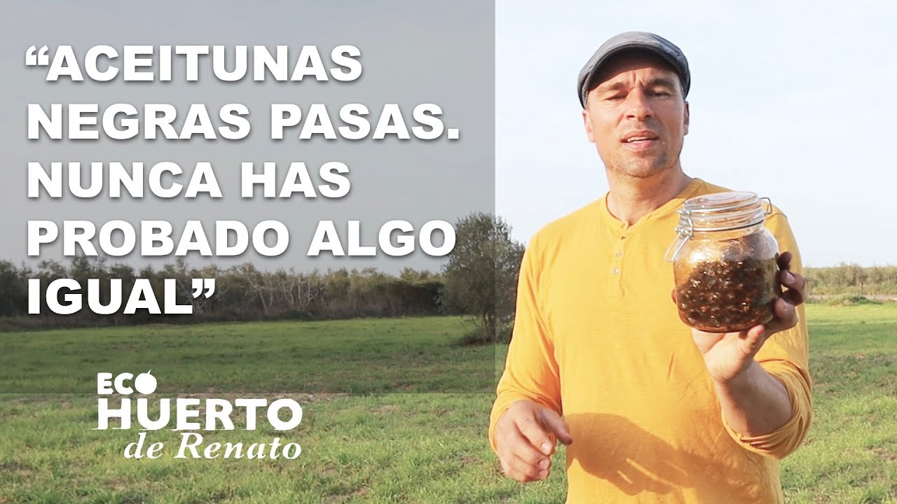 Aceitunas negras pasas. Nunca has probado algo igual.