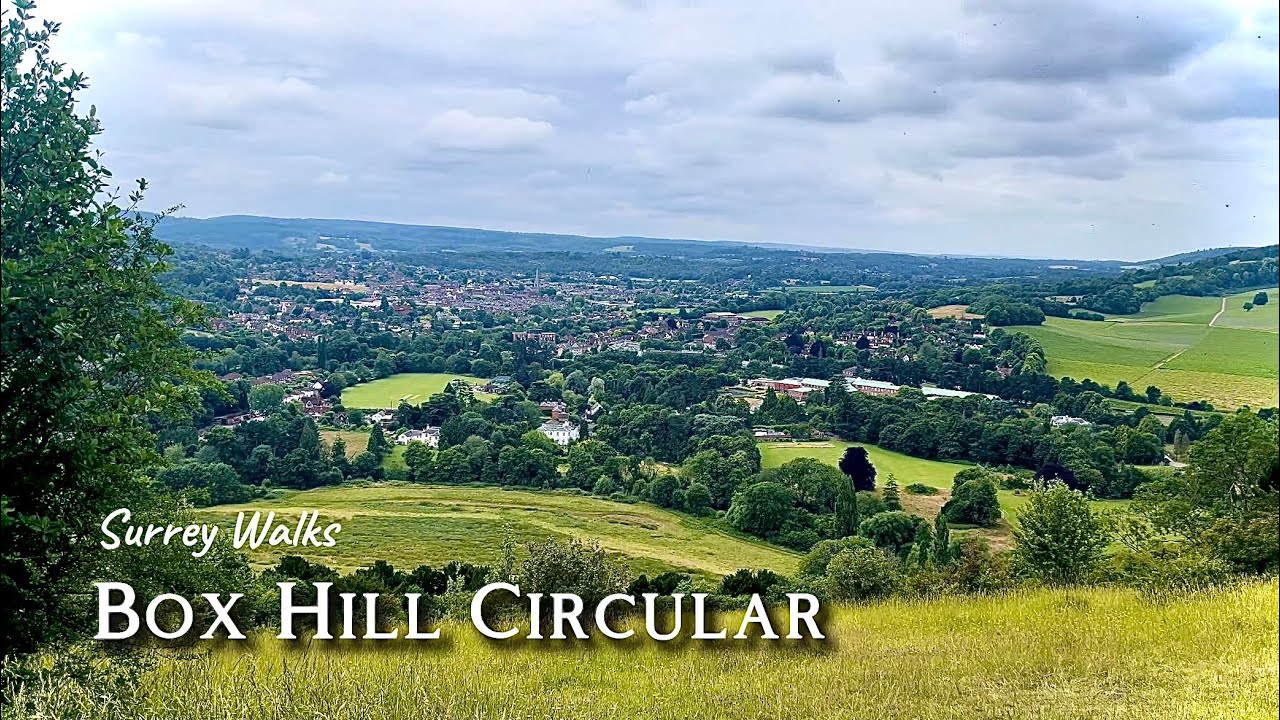 England 🏴󠁧󠁢󠁥󠁮󠁧󠁿: Surrey Walks | Box Hill Hike