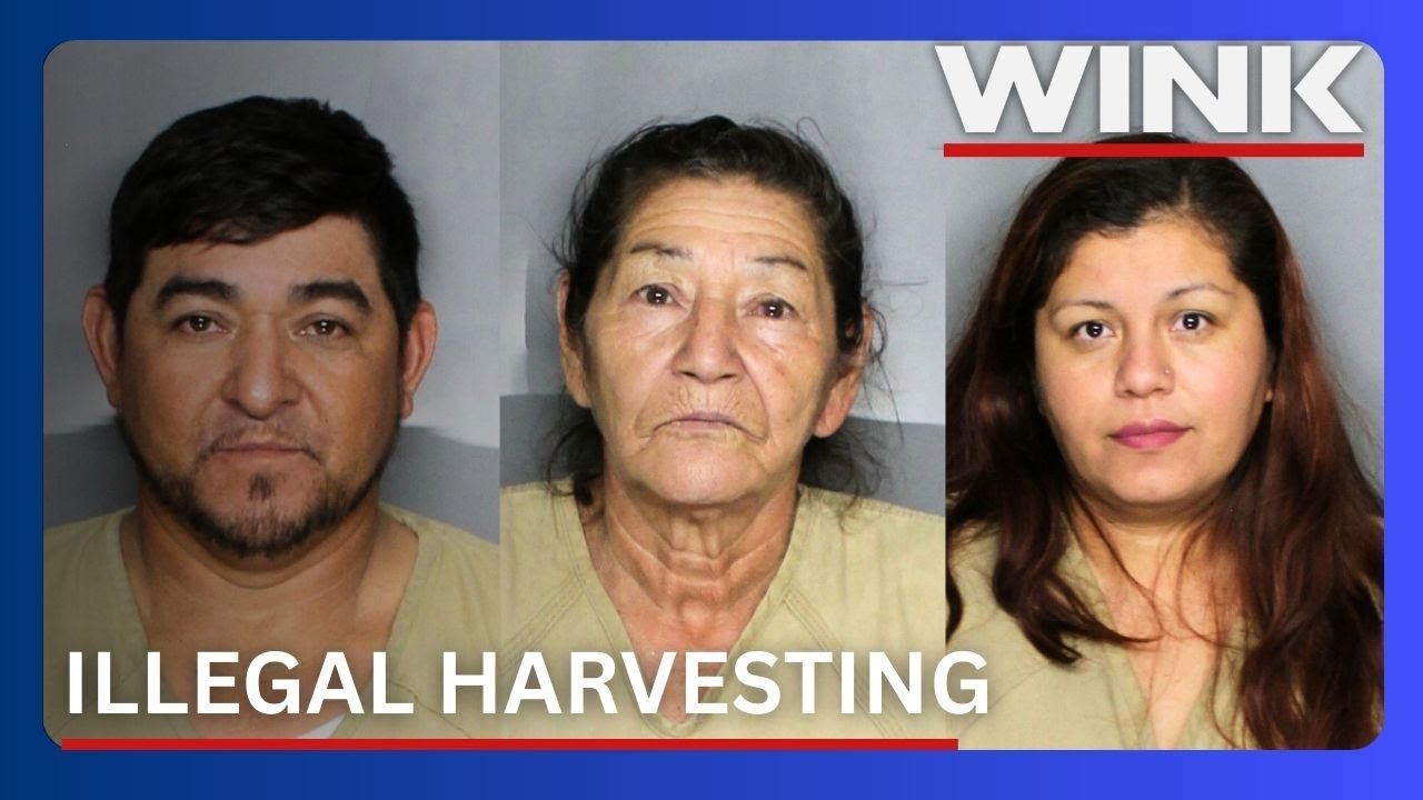 Triple saw palmetto berry arrest sparks discussion of illegal harvesting