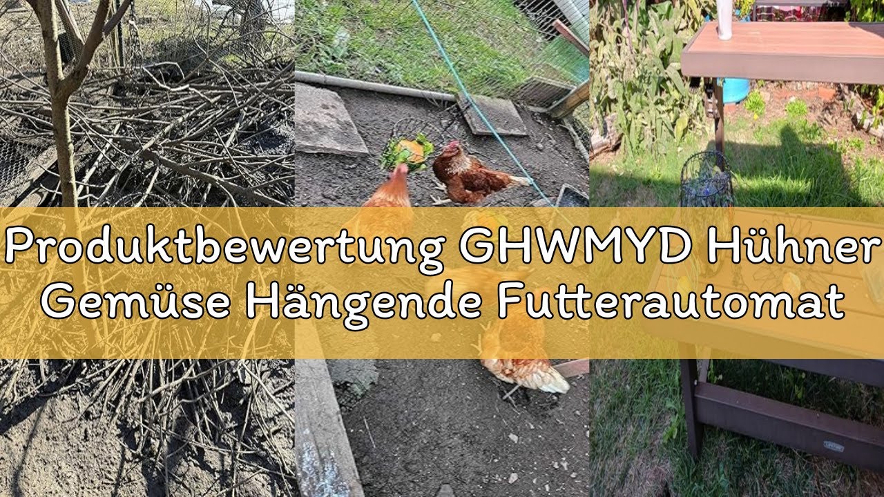 Produktbewertung GHWMYD Hühner Gemüse Hängende Futterautomat, Faltbar 16,5 Zoll großer Spielzeug Huh