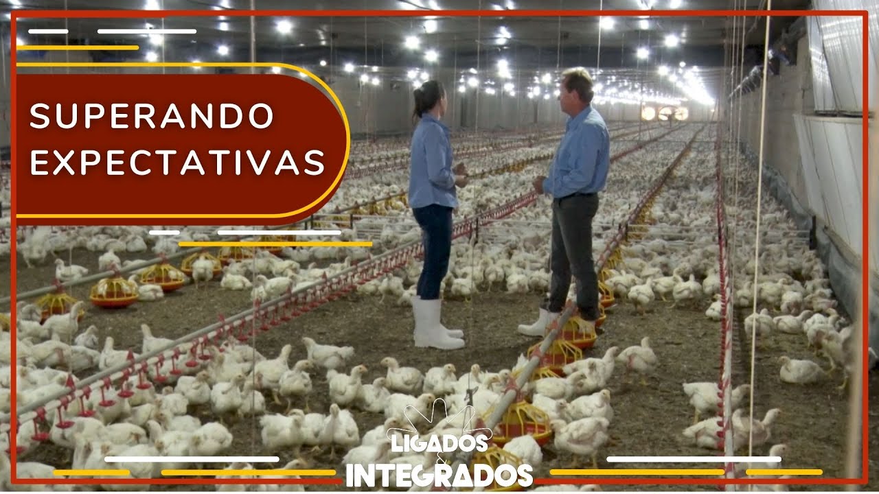 Família se dedica à avicultura e já produz em 8 aviários | Ligados&Integrados - 18/04/2023