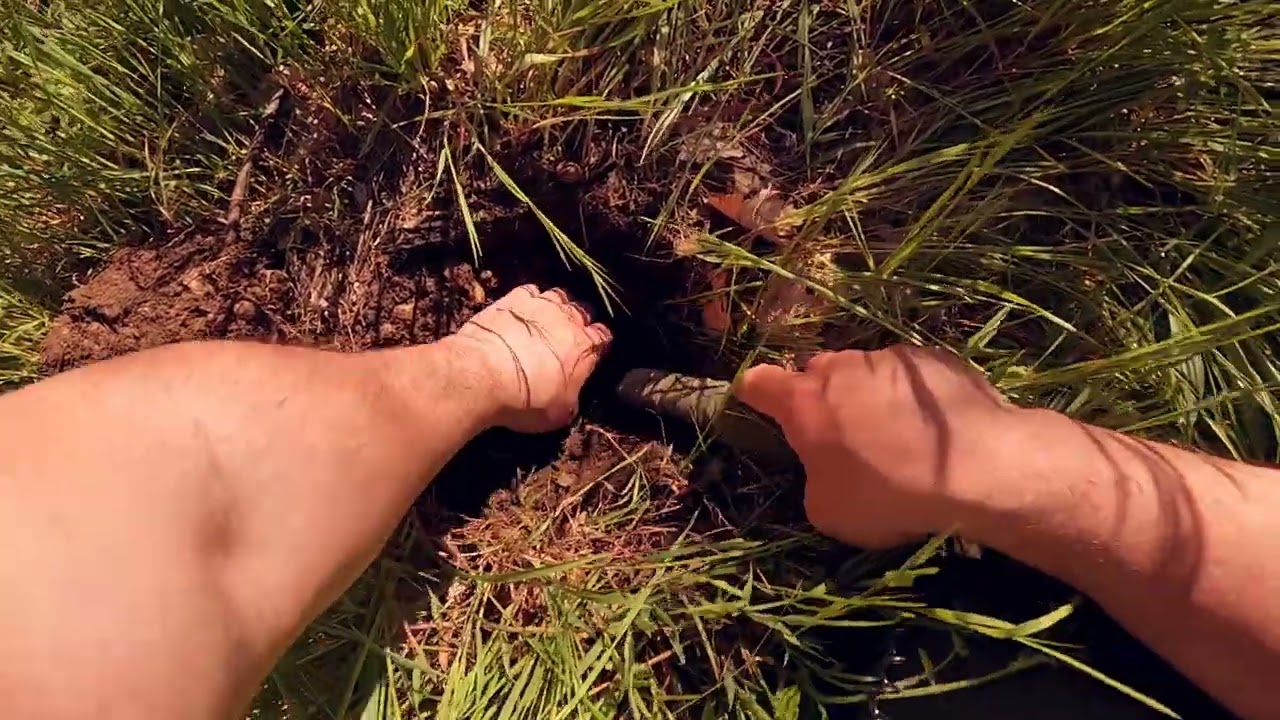 Spazzolata in diretta con il Copripiastra Bumper per XP Deus, Xp Deus FMF, ORX