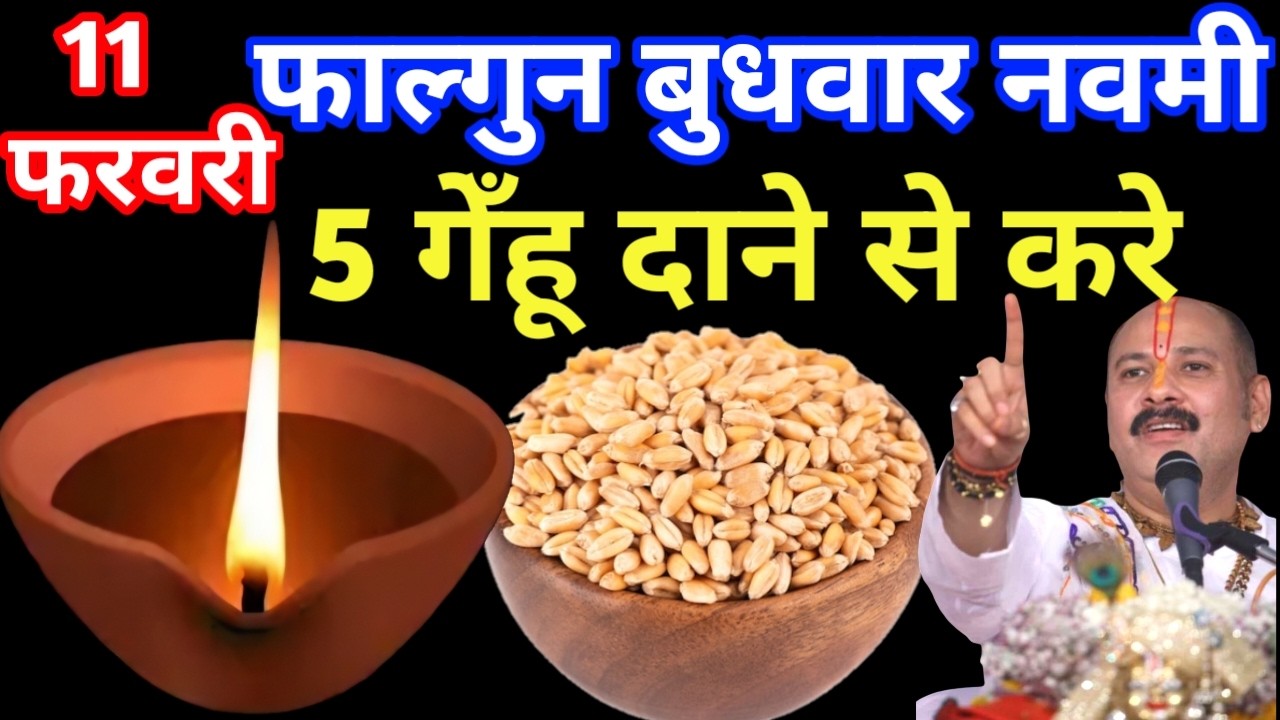 11 फरवरी फाल्गुन बुधवार नवमी तिथि के दिन 5 गेंहू के दाने वाला उपाय जरुर करे | Pradeep Ji Mishra Upay