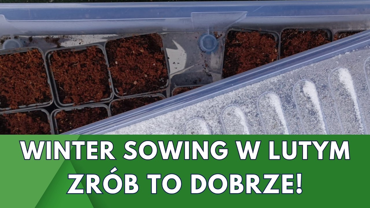 Jak wysiewać rośliny zimą czyli winter sowing. Prace do wykonania w lutym.