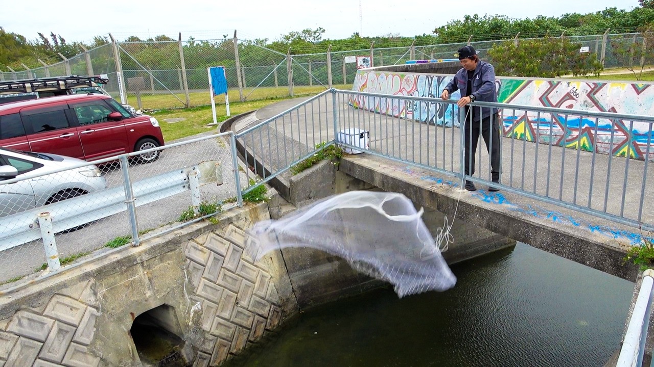 投網で取れたクセのある魚の匂いを取って料理