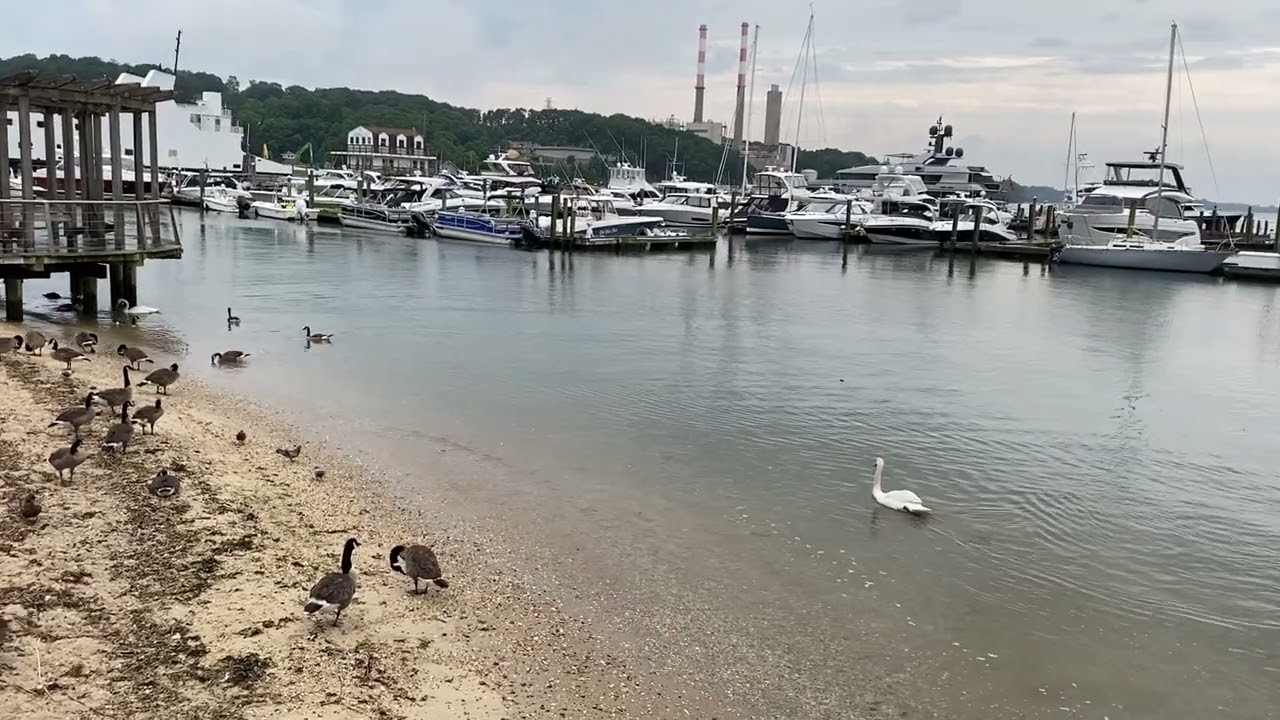 Port Jeff soggy morning