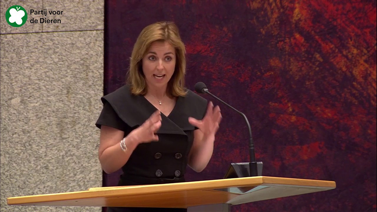 Bijdrage Marianne Thieme debat eindverslag informateur