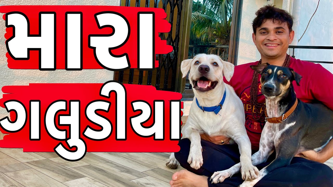 મારા ગલુડીયા । Khajur Bhai VLOGS | Jigli and Khajur Vlogs |Travel Vlogger |Gujarati VLOG |Nitin Jani