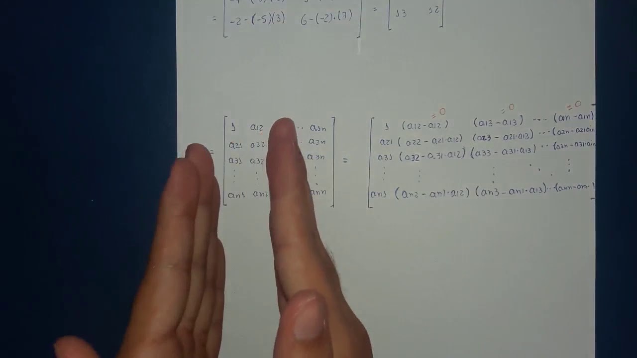 TEOREMA DE CAUCHY, REGRA DE CHIÓ E MATRIZ DE VANDERMOND DEMONSTRAÇÃO COMPLETA - AULA 05