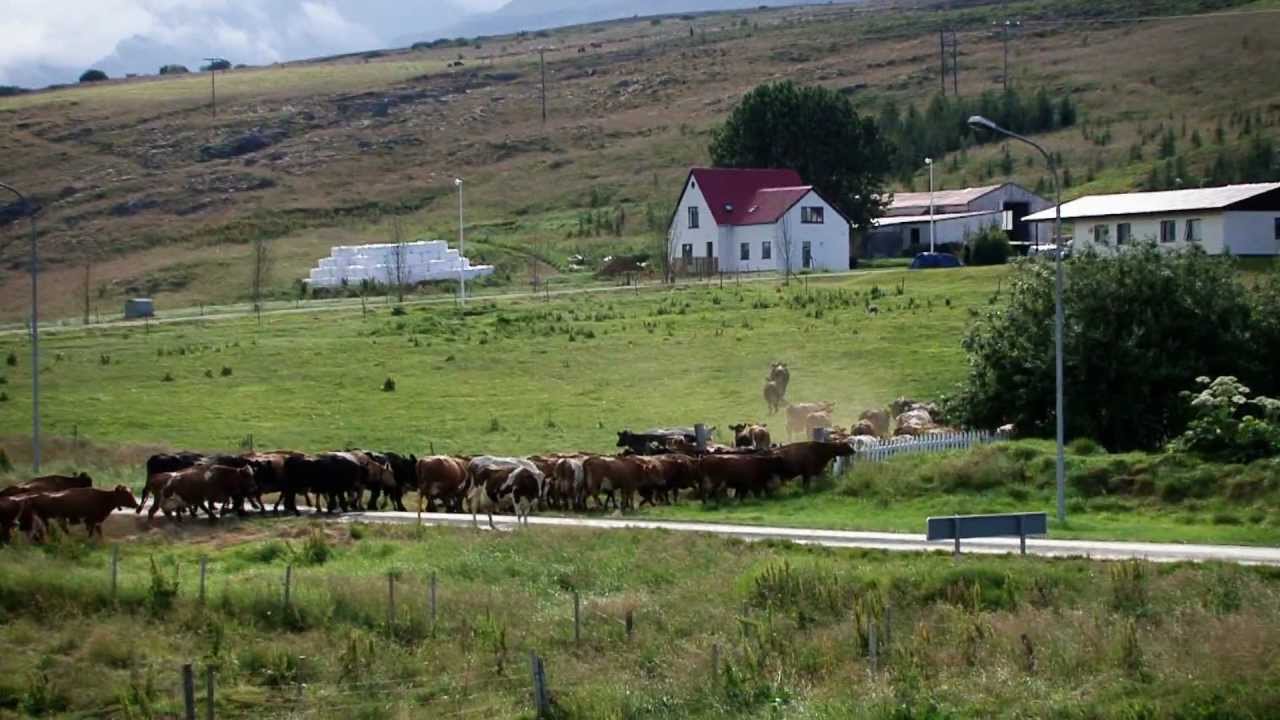 Guesthouset Hrafnagil in Eyjafjar&eth;arsveit Iceland - Icelandic Farm Holidays