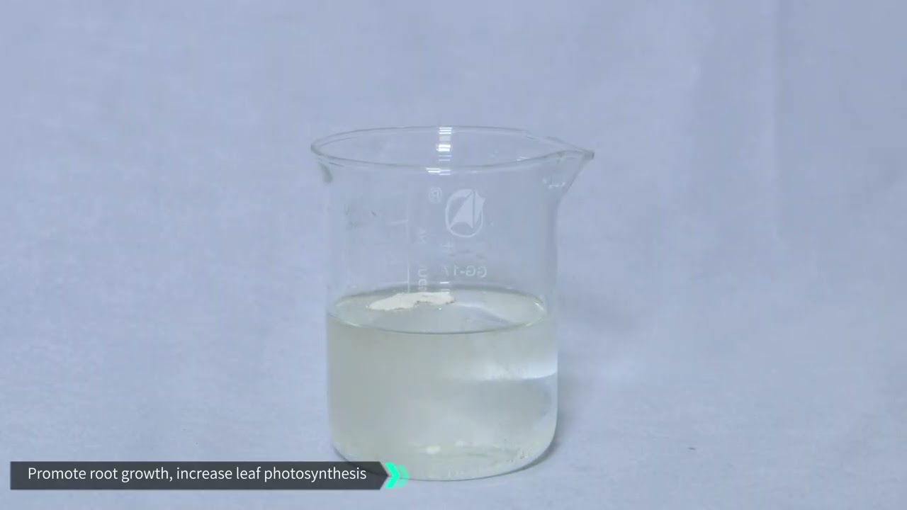 Low Temperature Broken Algae Essence Fertilizer