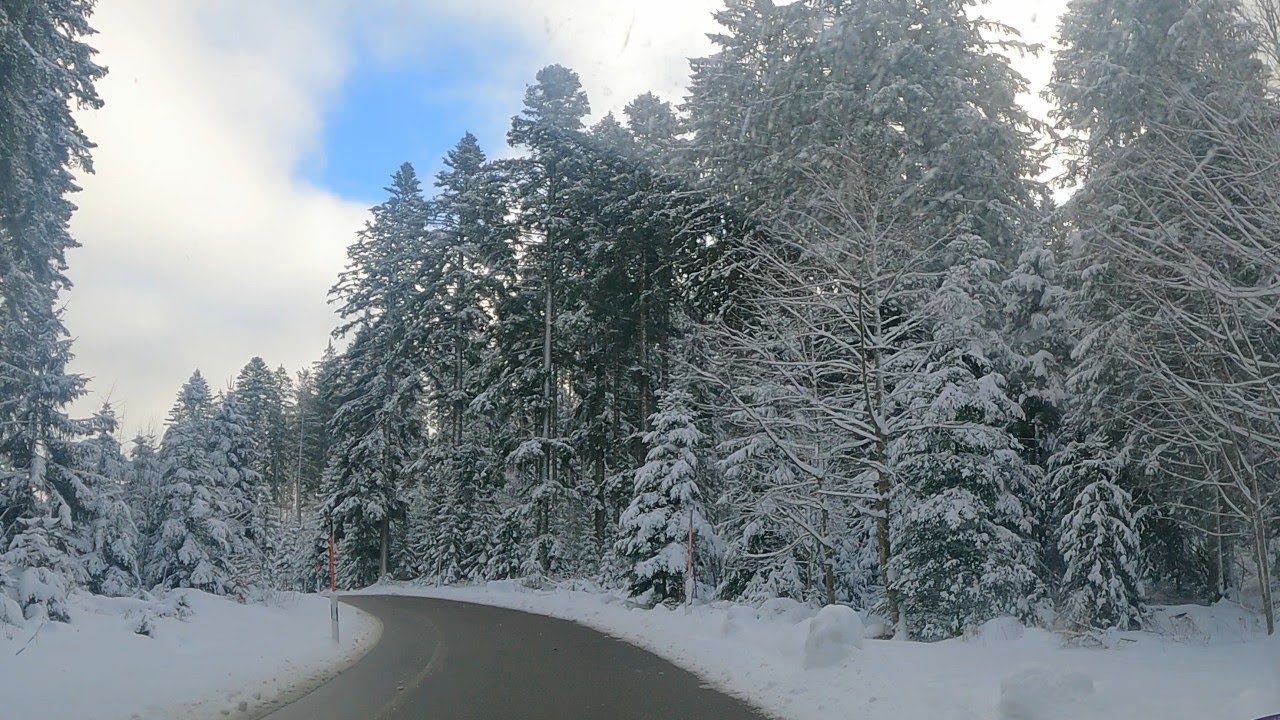 A Christmas Day drive thru the Black Forest of Germany.
