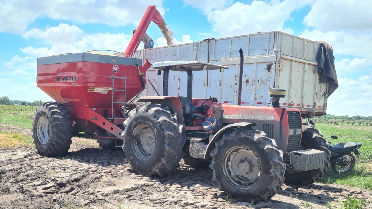 puchando arroz🌾com trator 292 cantando turbina 🚜💪