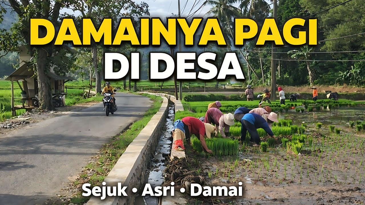 Indahnya Pagi di Kampung | Jalan Setapak & Suasana Alam Pedesaan