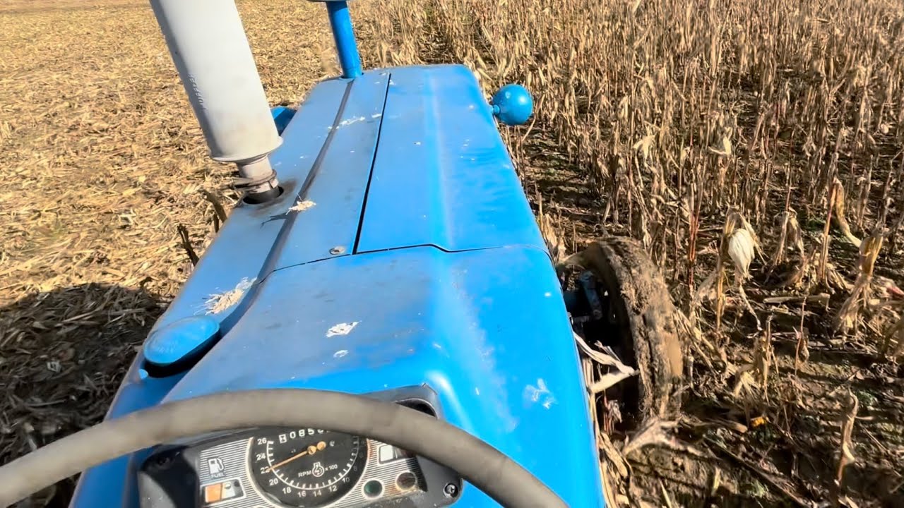 Mowing corn stalks with SOS Ford 5000