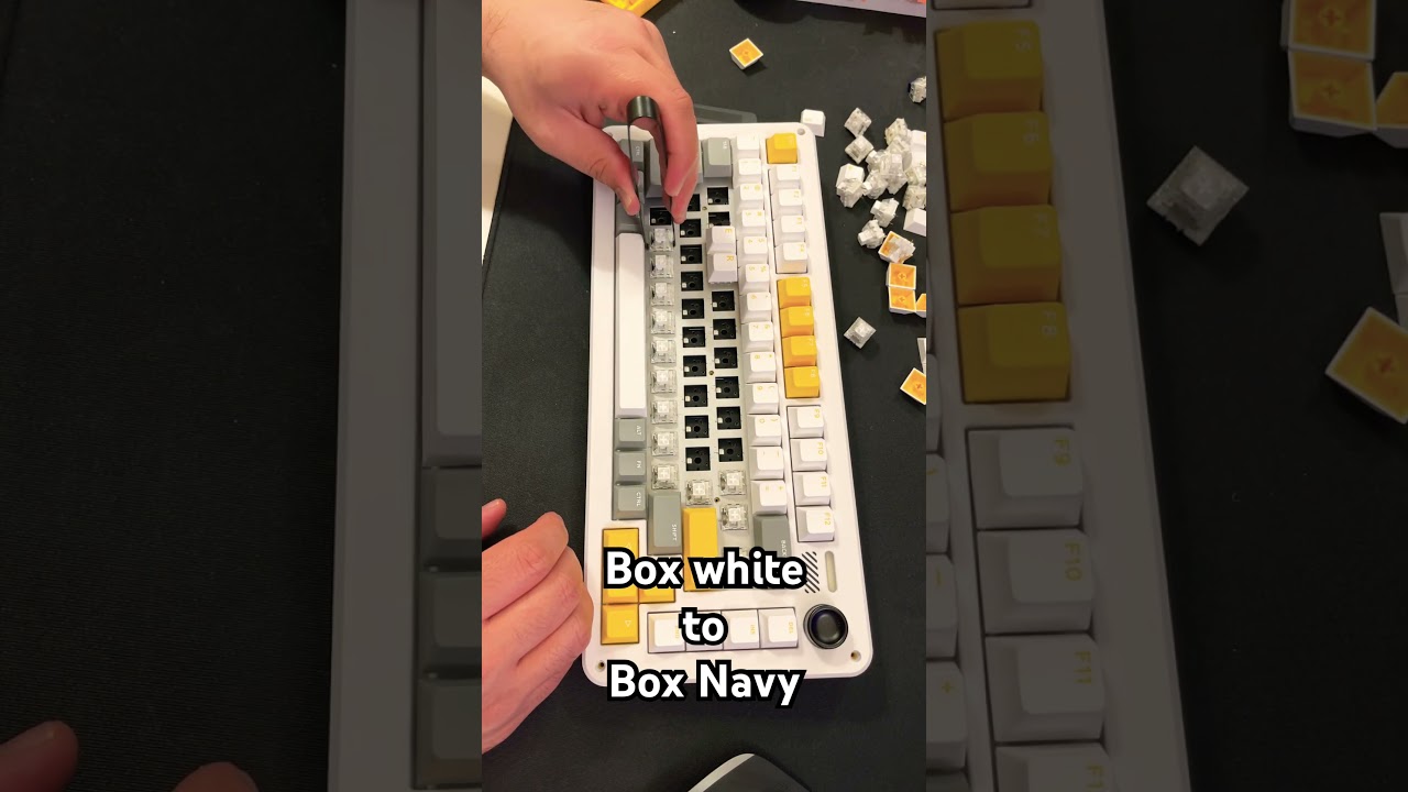 Best clicky switch&hellip; 🔥🔥🔥 #mechanicalkeyboard #iqunix #zx75