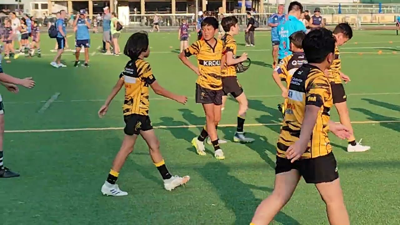Hong Kong Mini rugby Tigers 1 Vs HKFC2, Richard Hawkes Plate semi-final 2 on 24_03_2024 at 5:12pm
