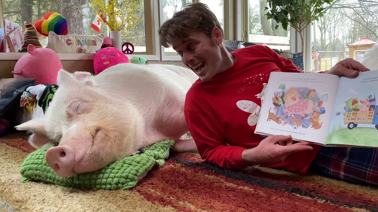 Storytime with Esther T.W. Pig: The True Adventures of Esther the Wonder Pig