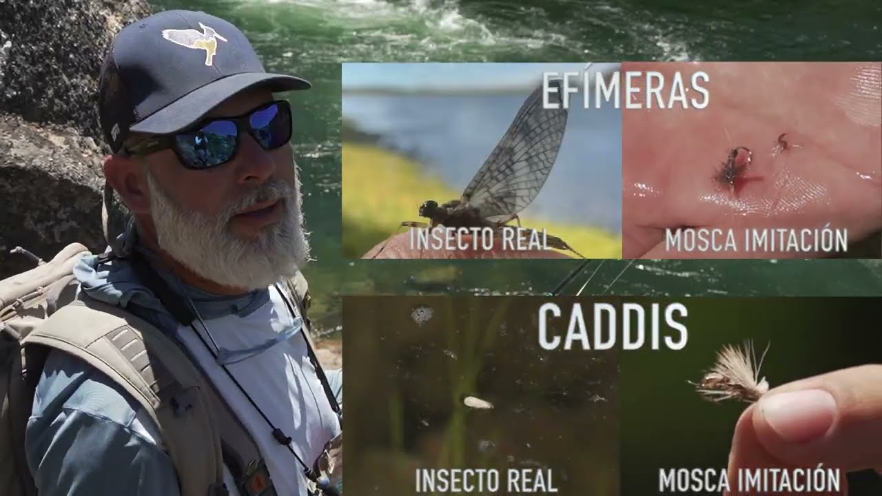 Tips Pesca con Mosca Seca Pulmari - Flotada Río Aluminé- Atado de Mosca Pochoa Special Aguas Arriba