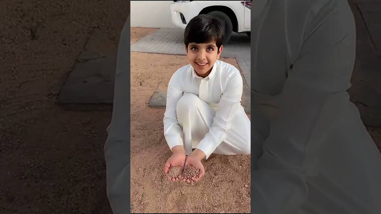 #ابو_كريم_وكروم